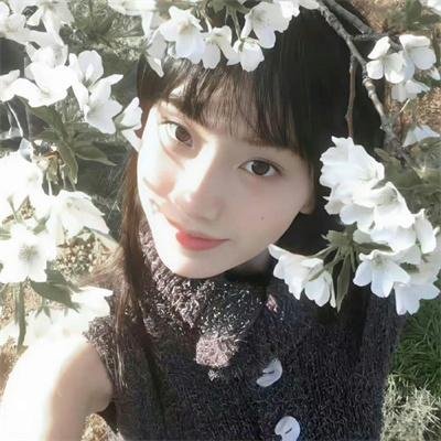 牡丹花血案